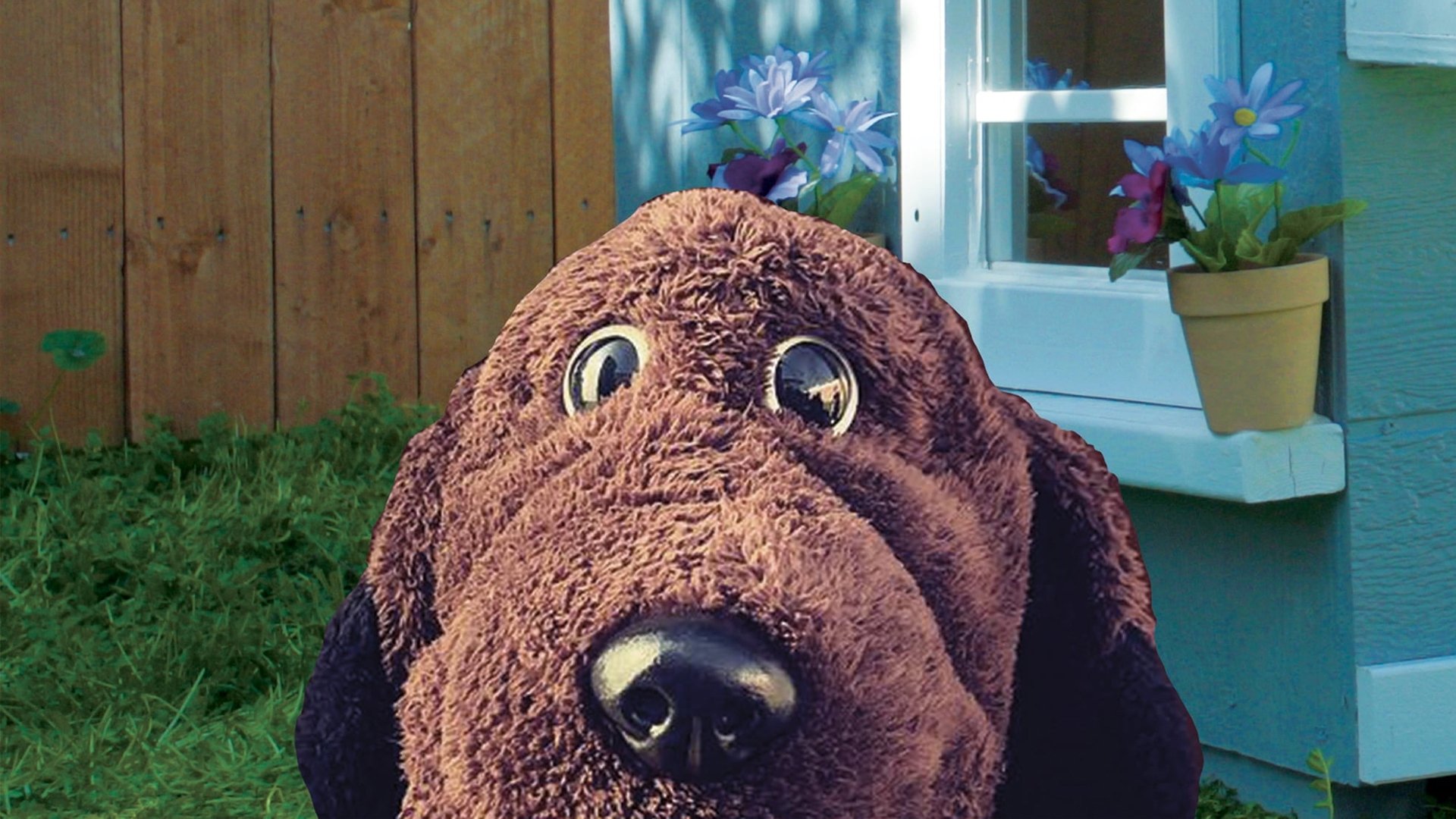 Allan the Dog scene photo
