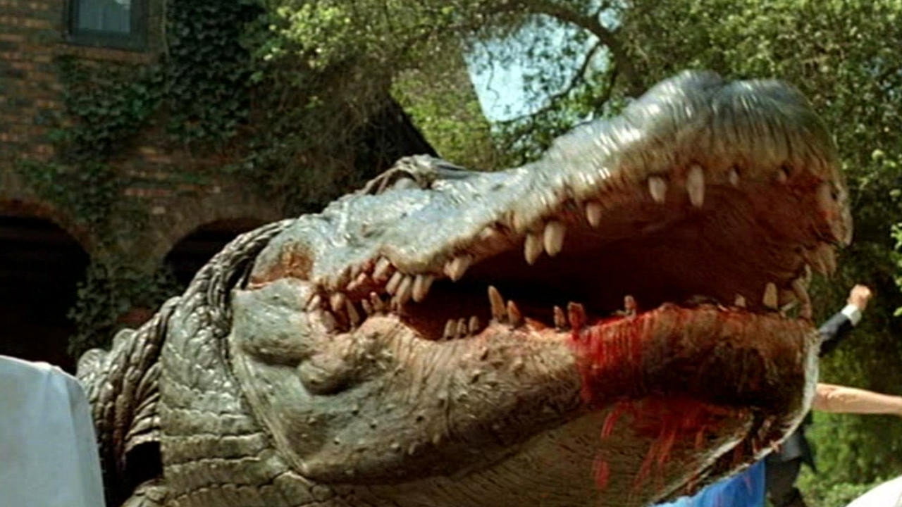 Alligator scene photo