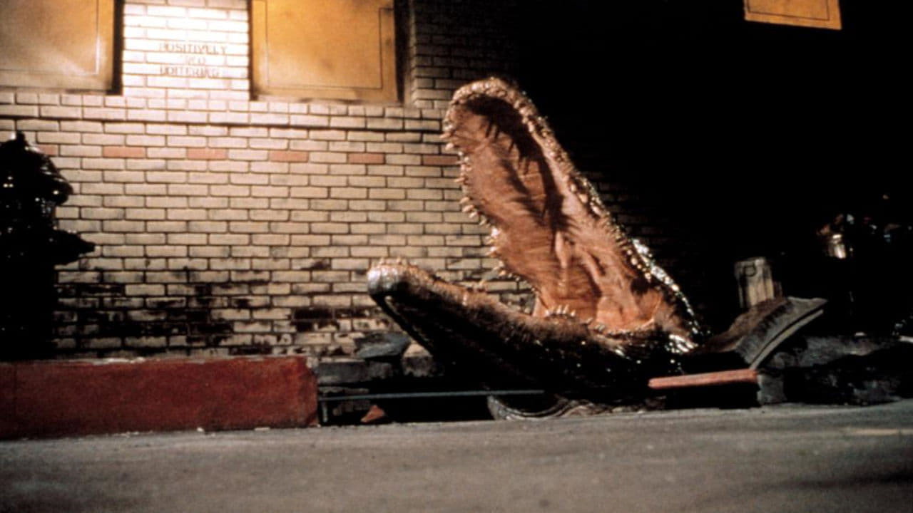 Alligator scene photo