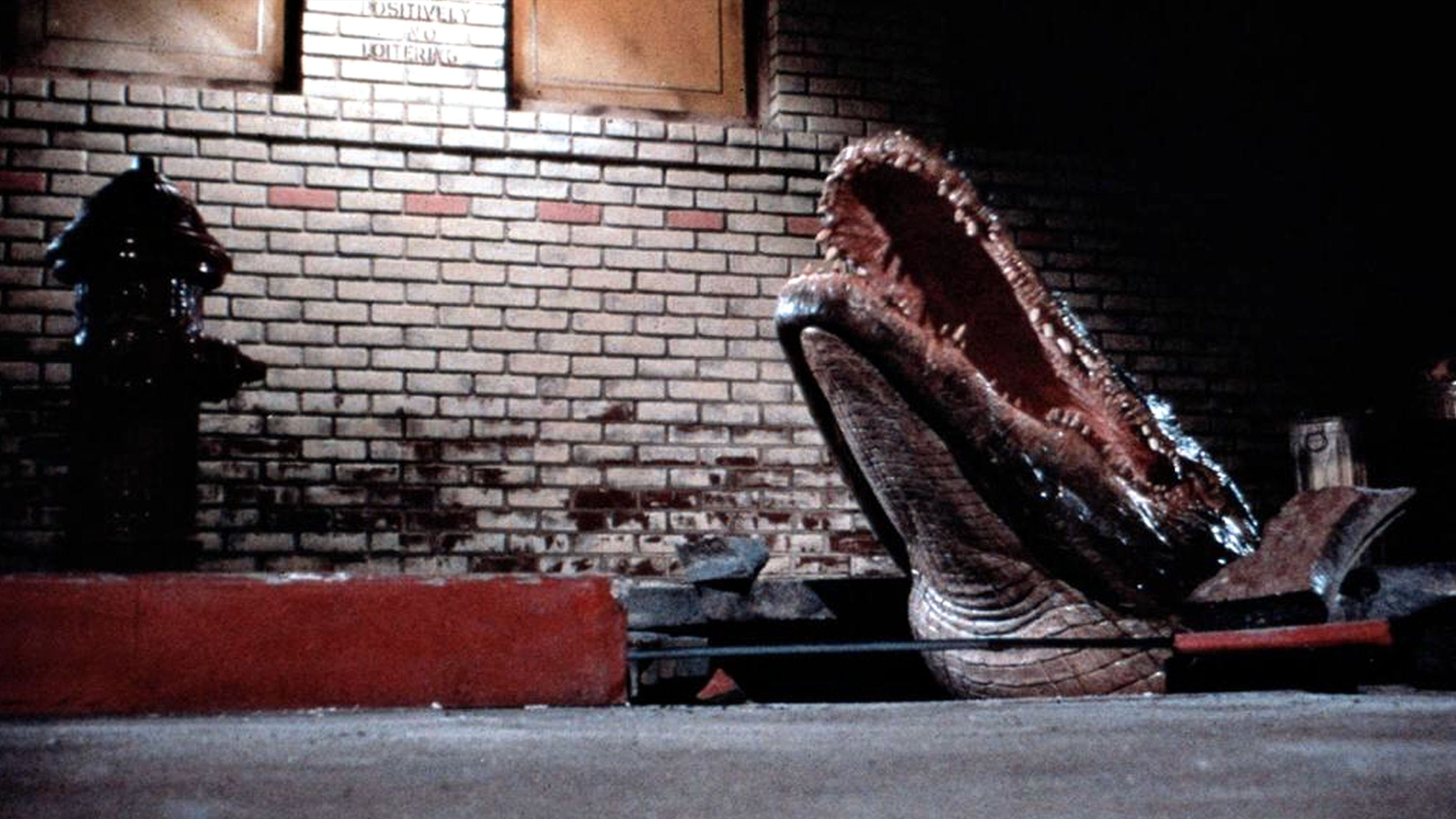 Alligator scene photo