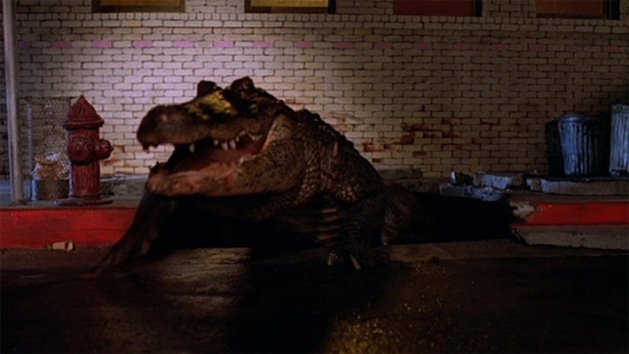 Alligator scene photo