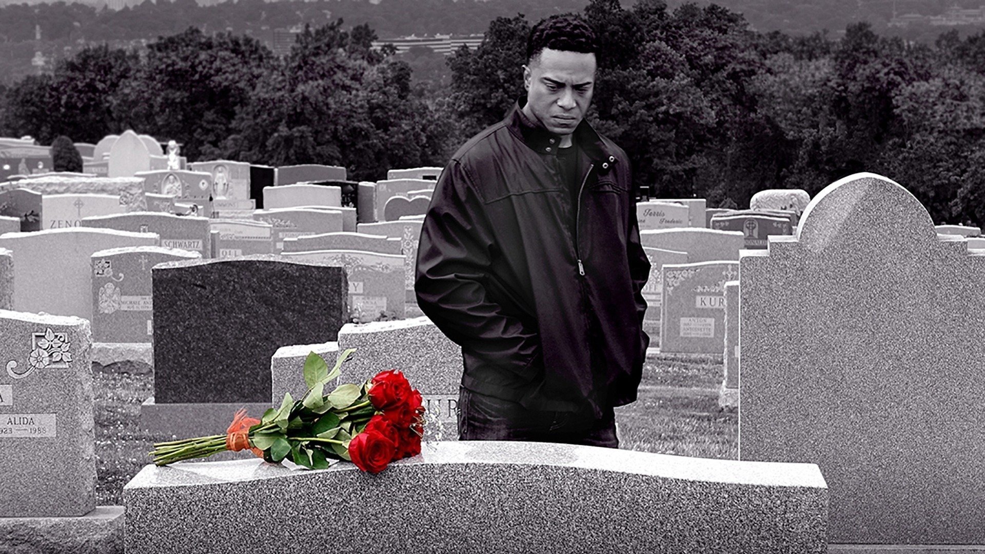 American Wisper scene photo