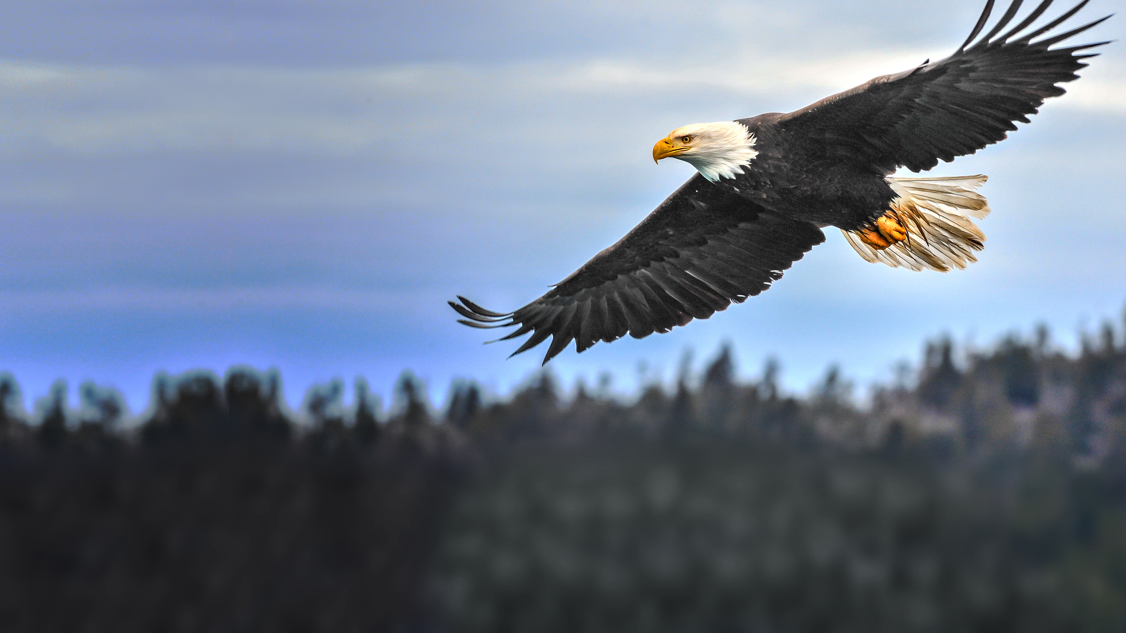 America's Greatest Animals scene photo