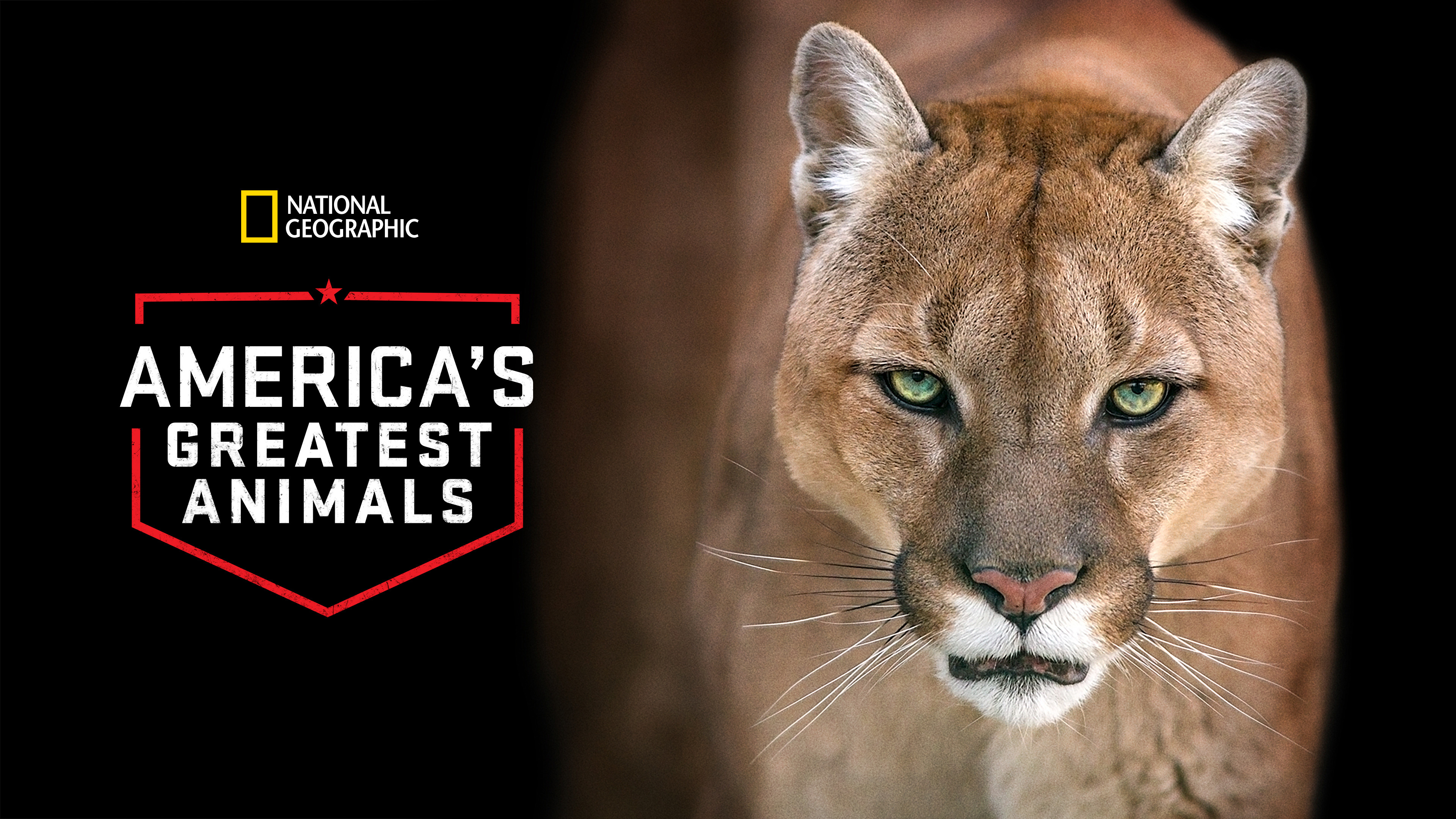 America's Greatest Animals scene photo