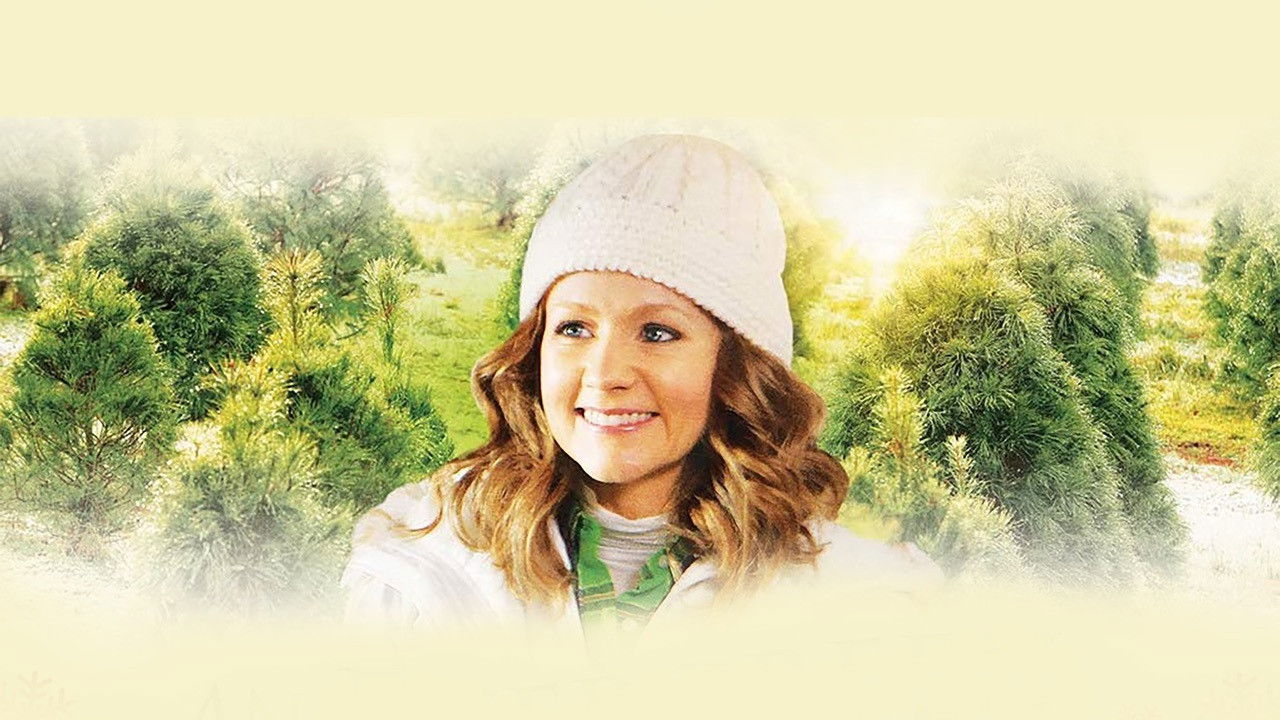 An Evergreen Christmas scene photo