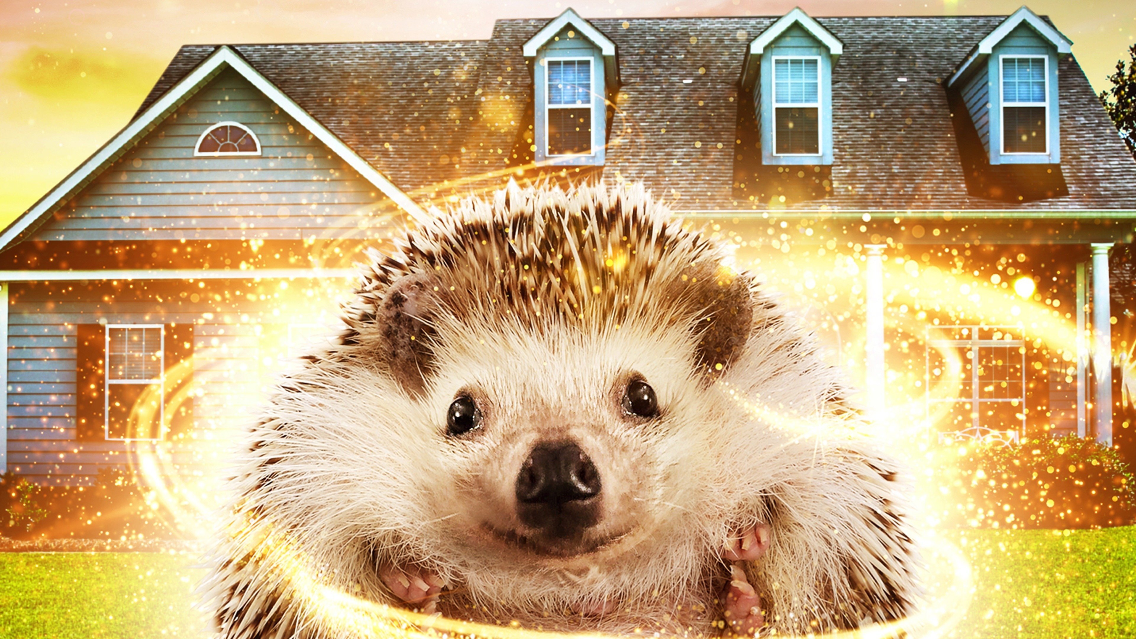 Andy the Talking Hedgehog scene photo