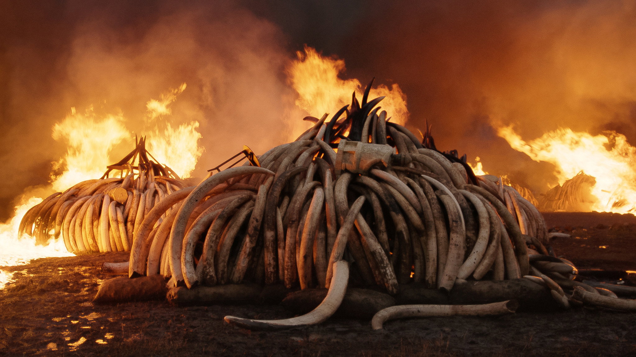 Anthropocene: The Human Epoch scene photo