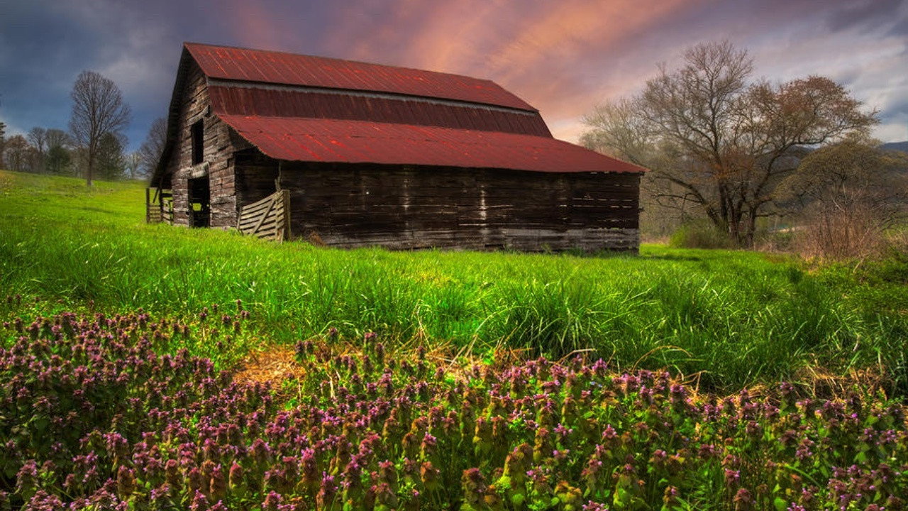 Appalachian Spring scene photo