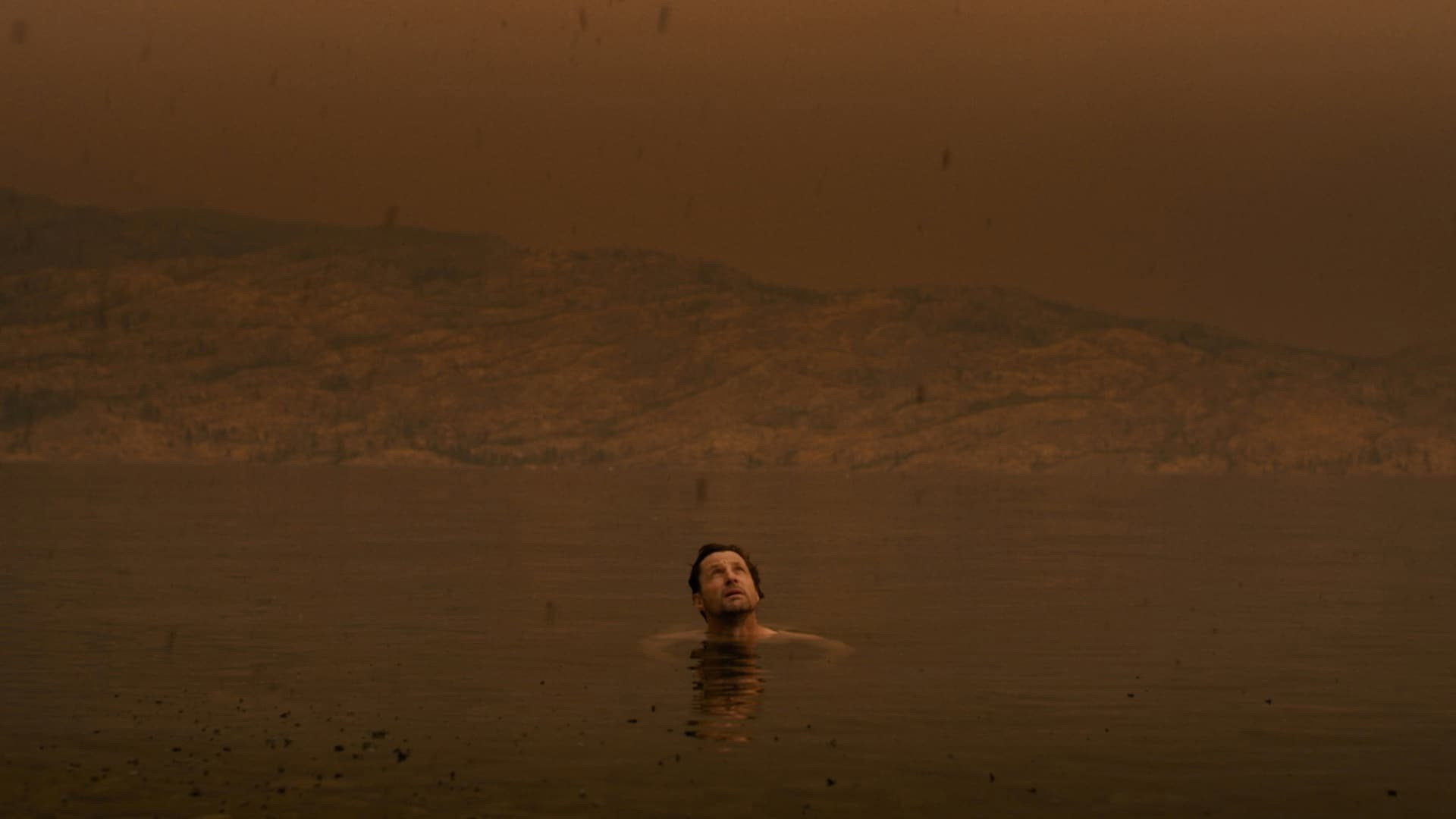 Ash scene photo