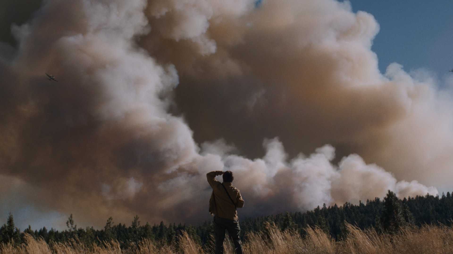 Ash scene photo
