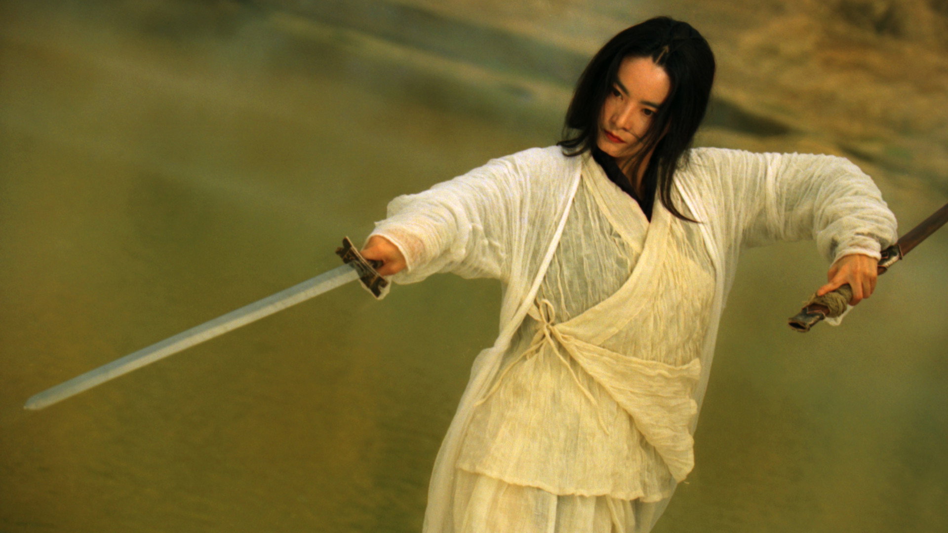 Ashes of Time scene photo