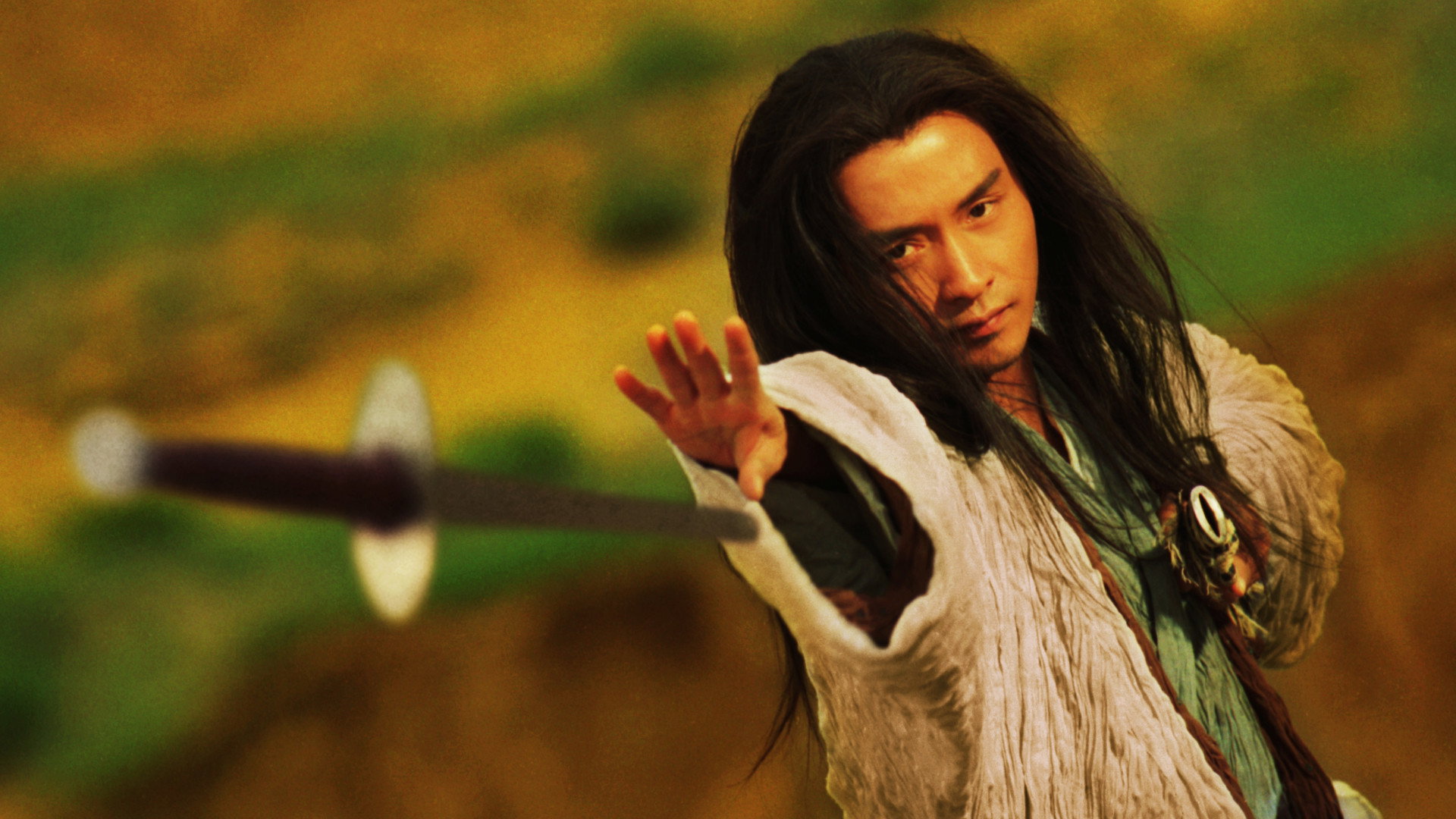Ashes of Time scene photo