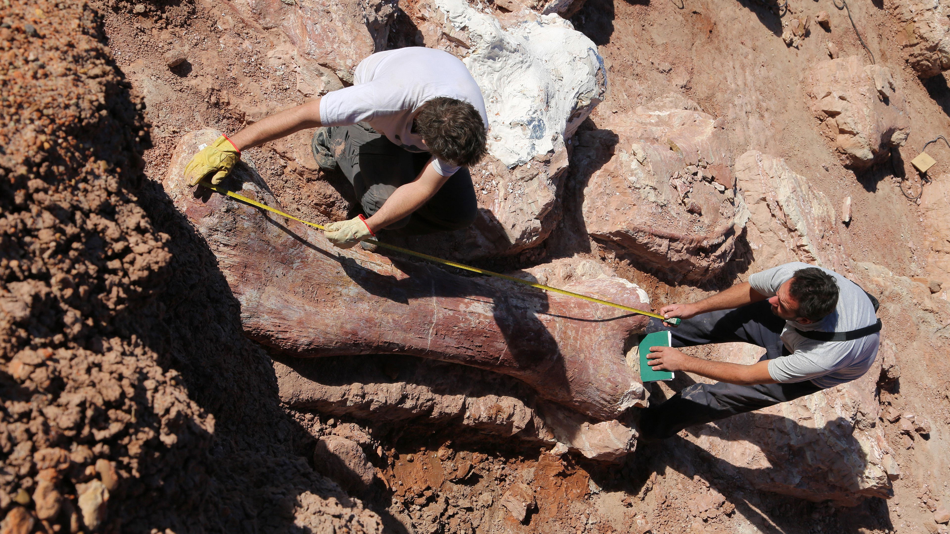 Attenborough and the Giant Dinosaur scene photo