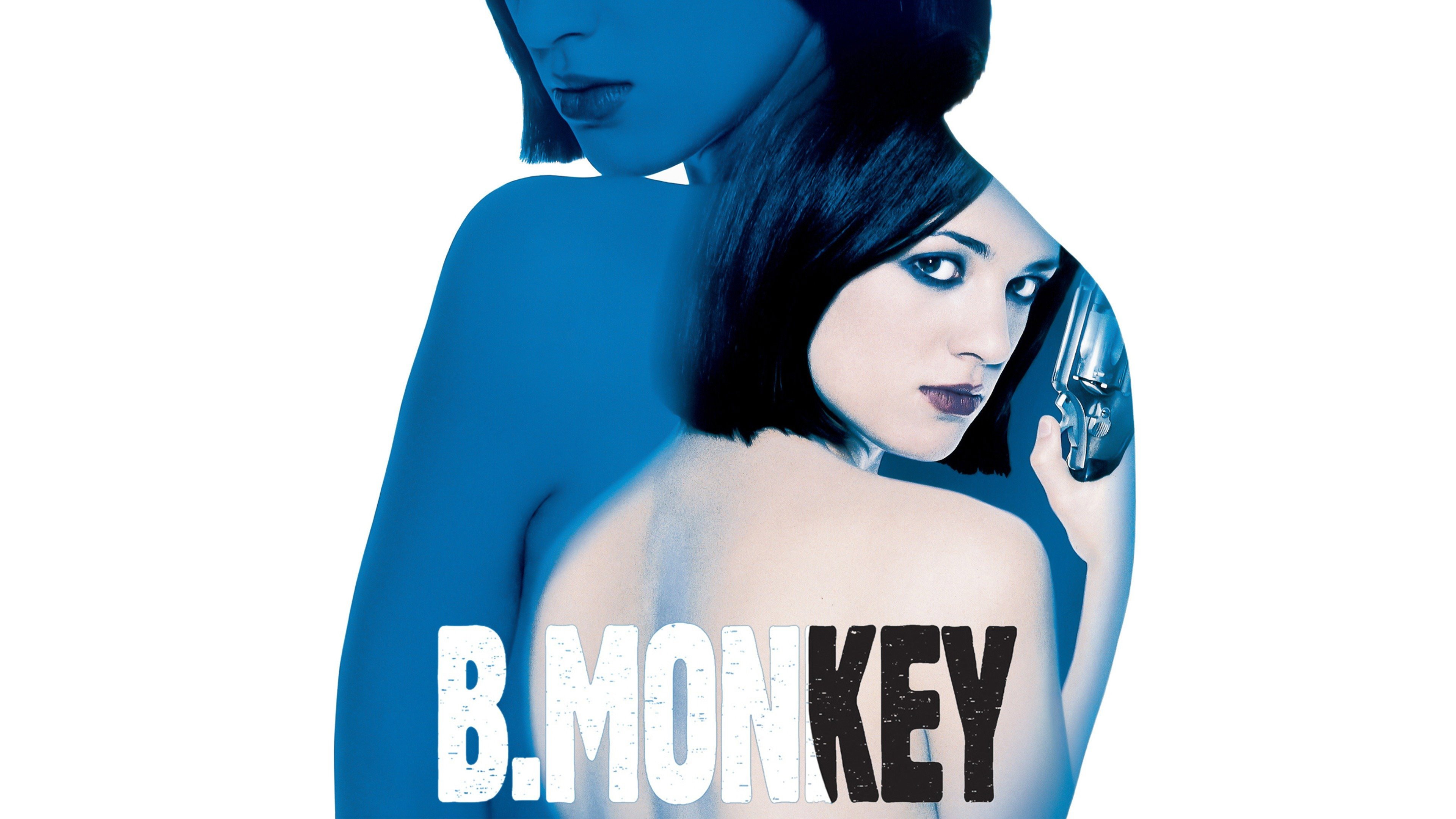 B. Monkey scene photo