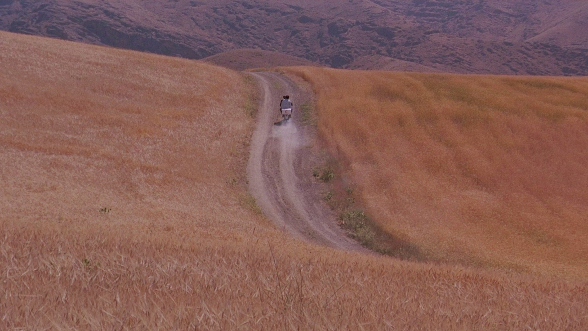 Bad ma ra khahad bord scene photo