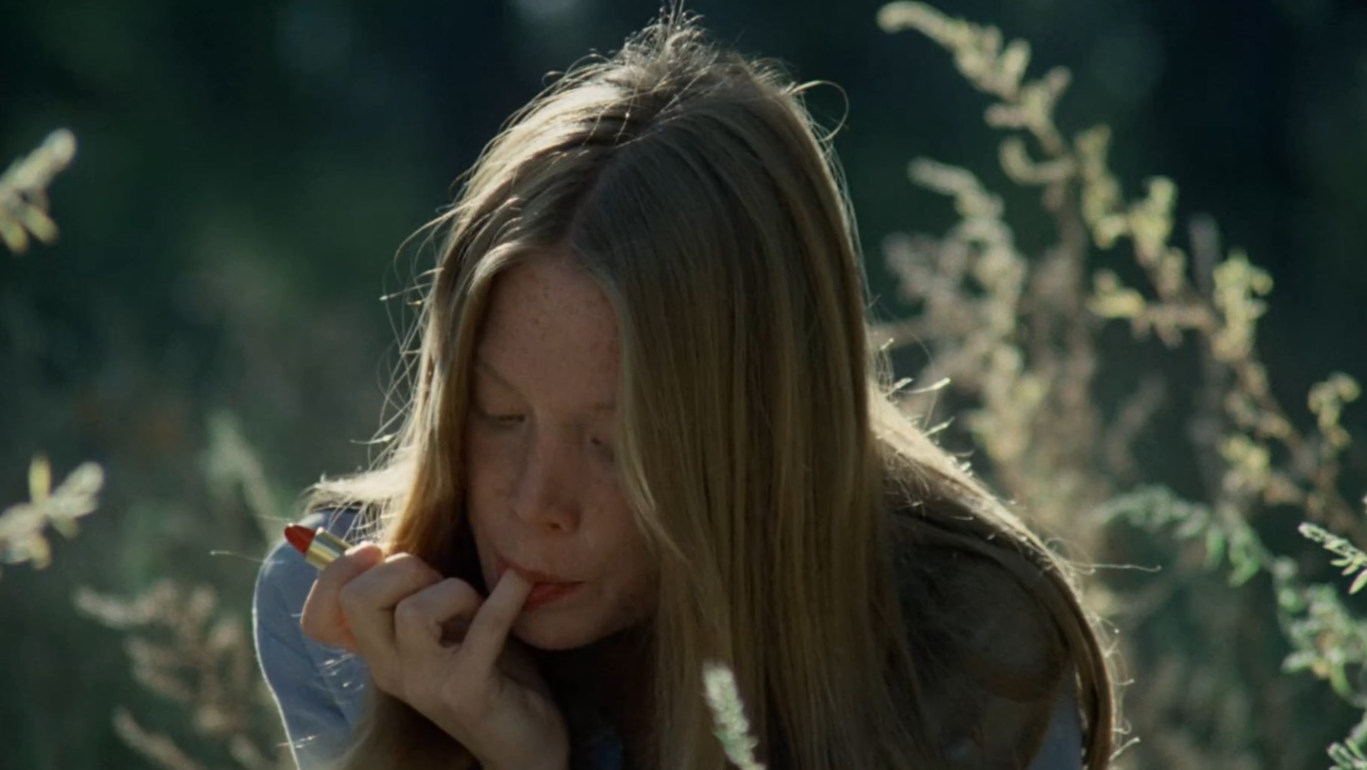 Badlands scene photo