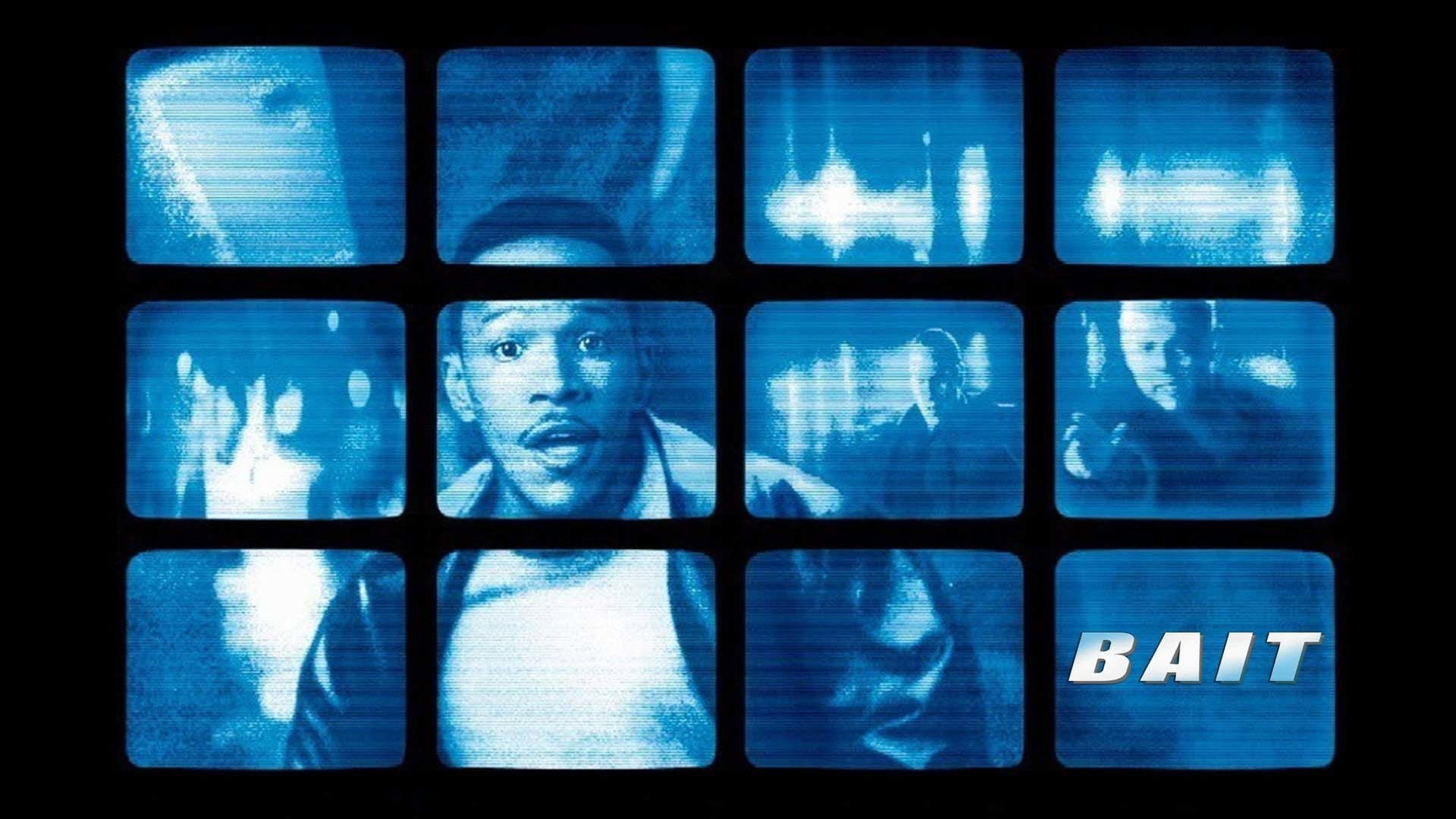 Bait scene photo