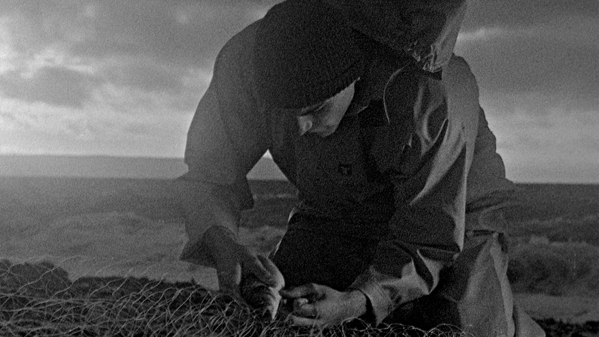Bait scene photo