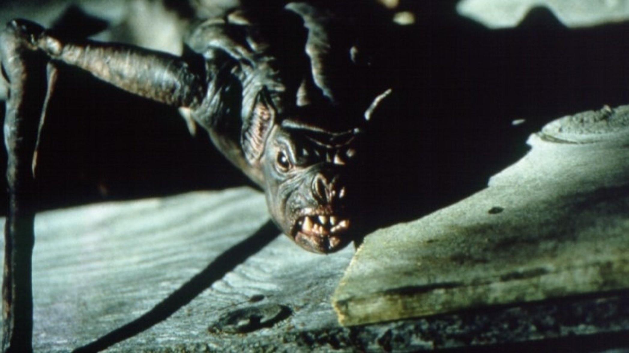 Bats scene photo