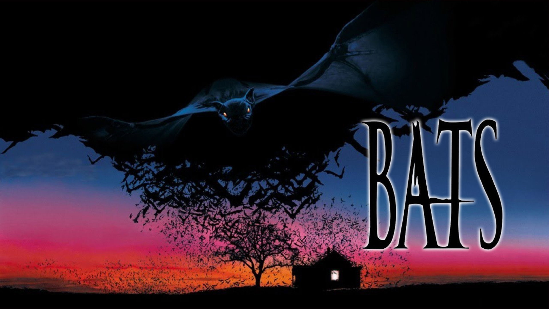 Bats scene photo