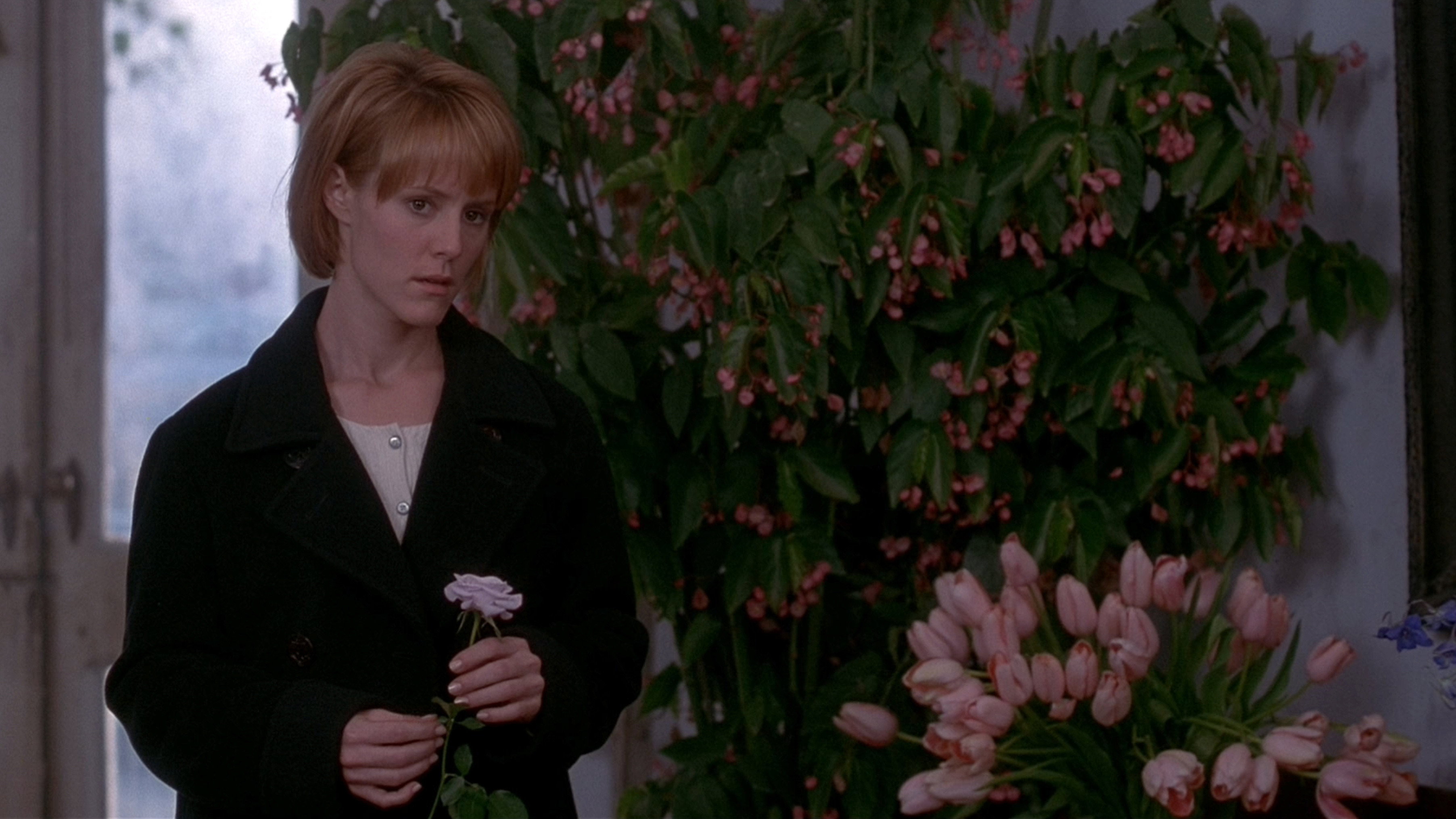 Bed of Roses scene photo