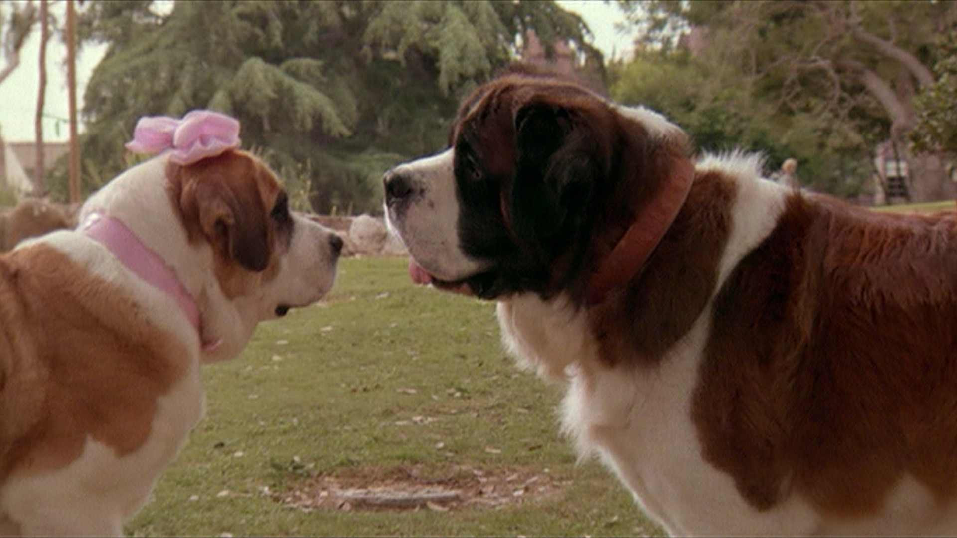 Beethoven's 2nd scene photo