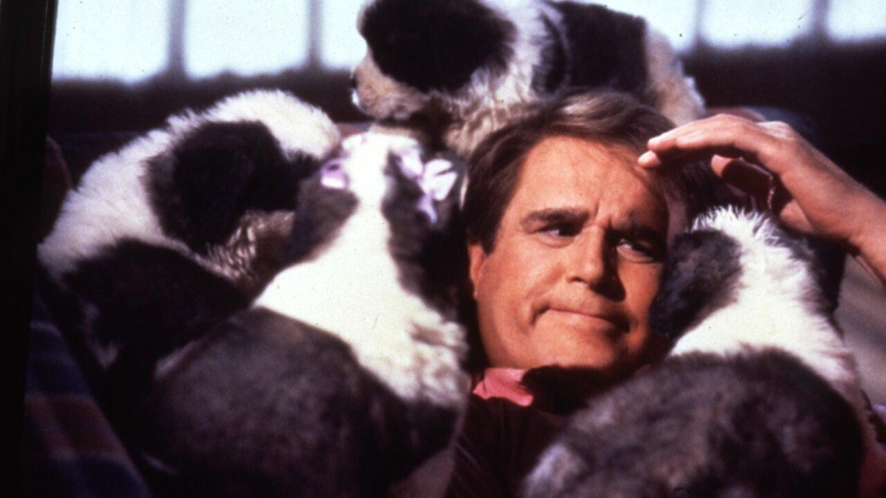 Beethoven's 2nd scene photo