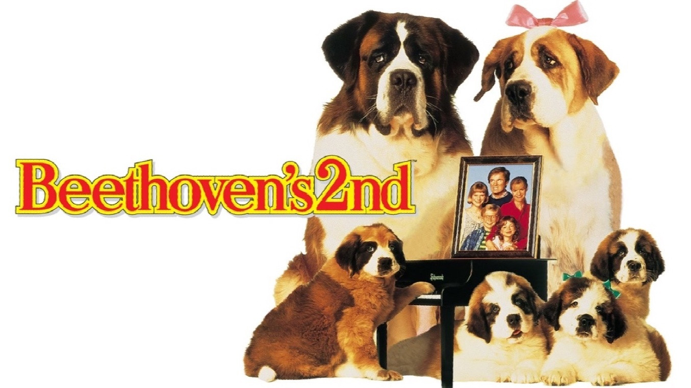 Beethoven's 2nd scene photo