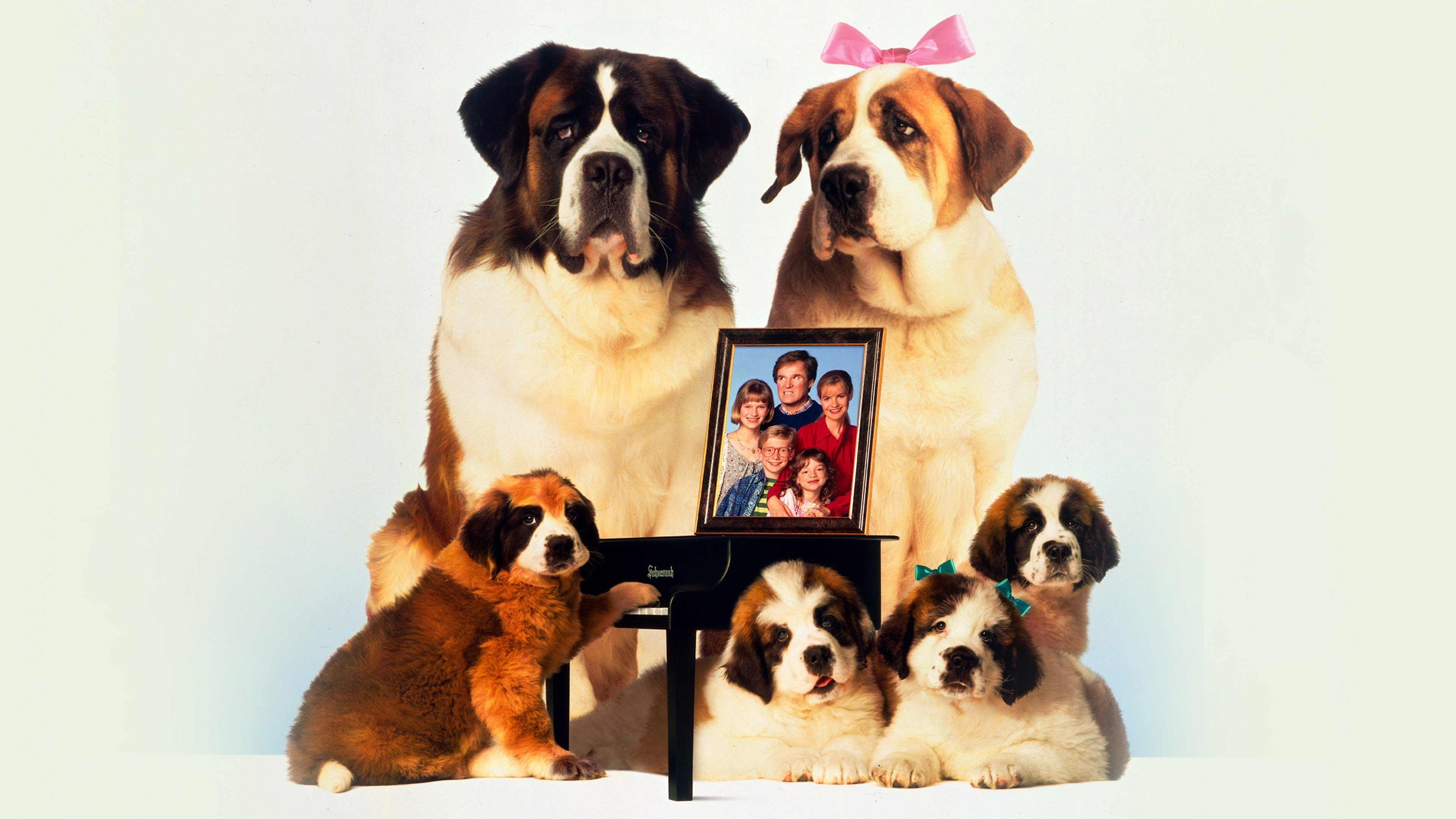 Beethoven's 2nd scene photo