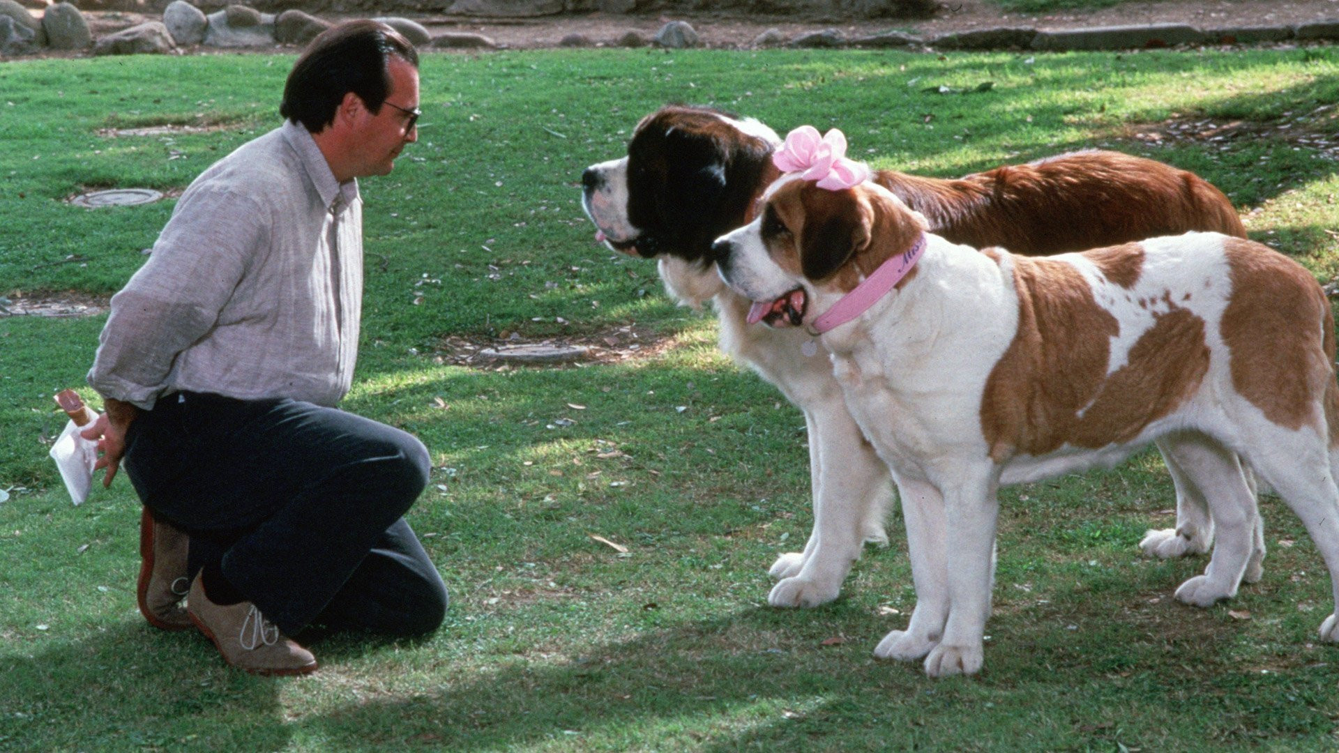 Beethoven's 2nd scene photo