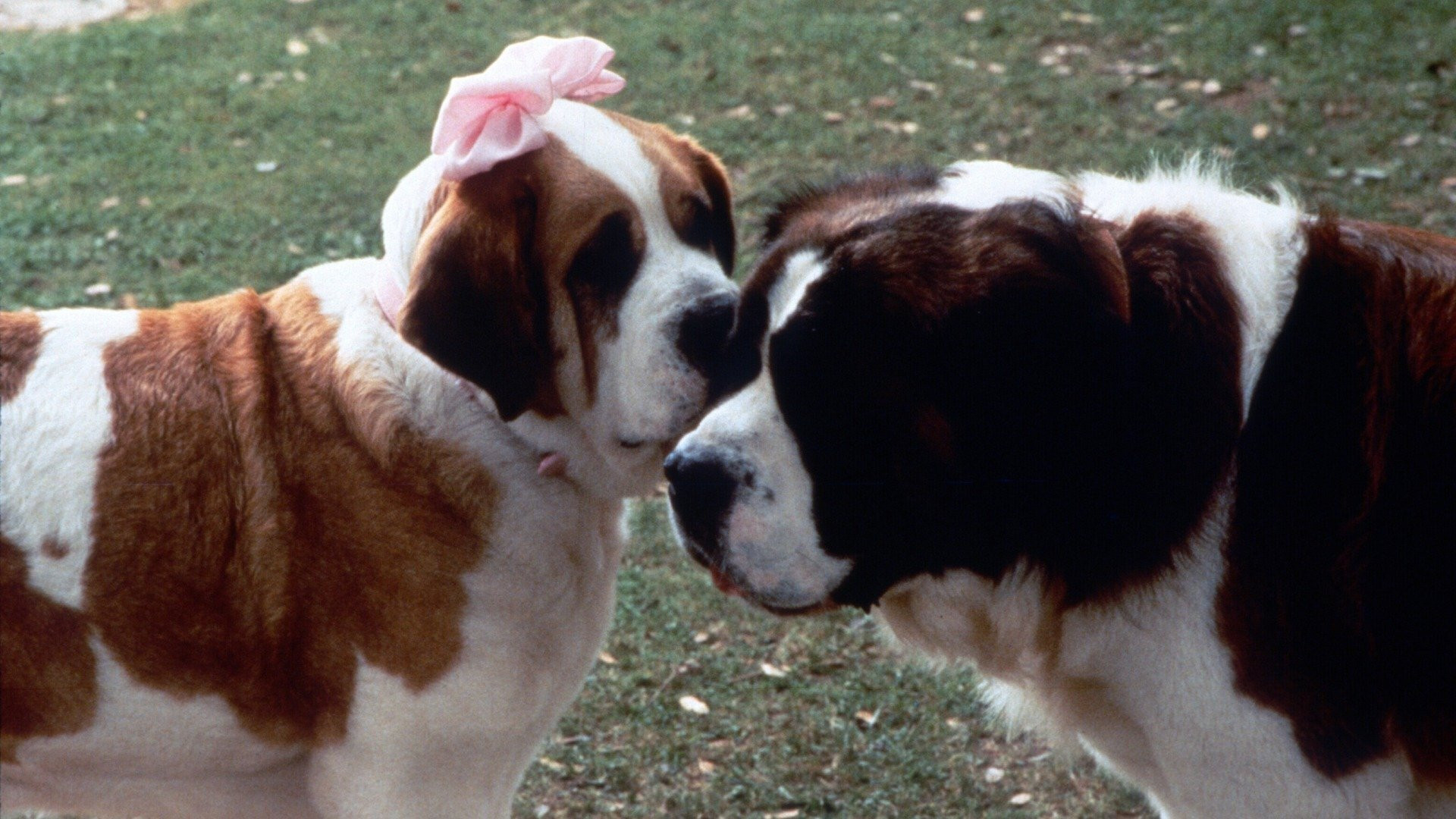 Beethoven's 2nd scene photo