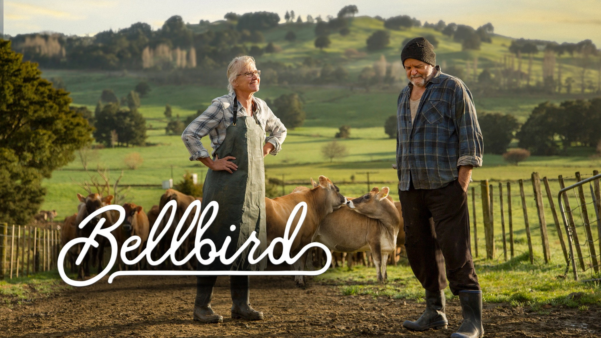 Bellbird scene photo