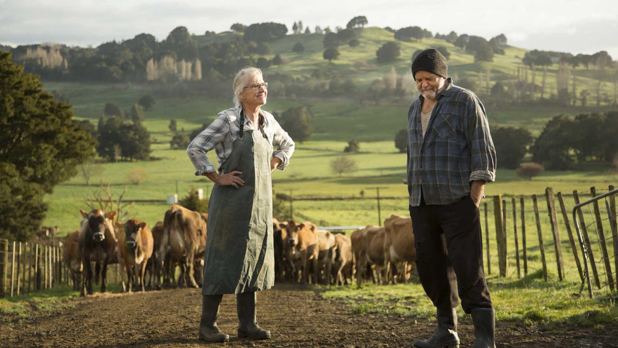 Bellbird scene photo