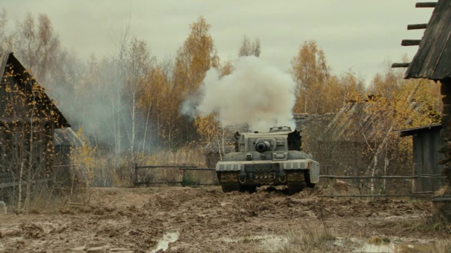 Belyy tigr scene photo