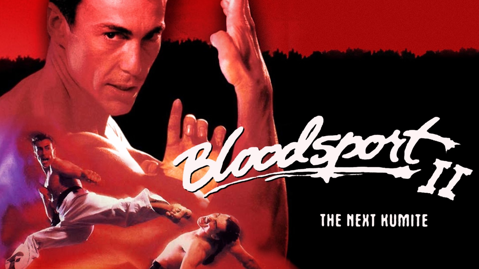 Bloodsport 2 scene photo