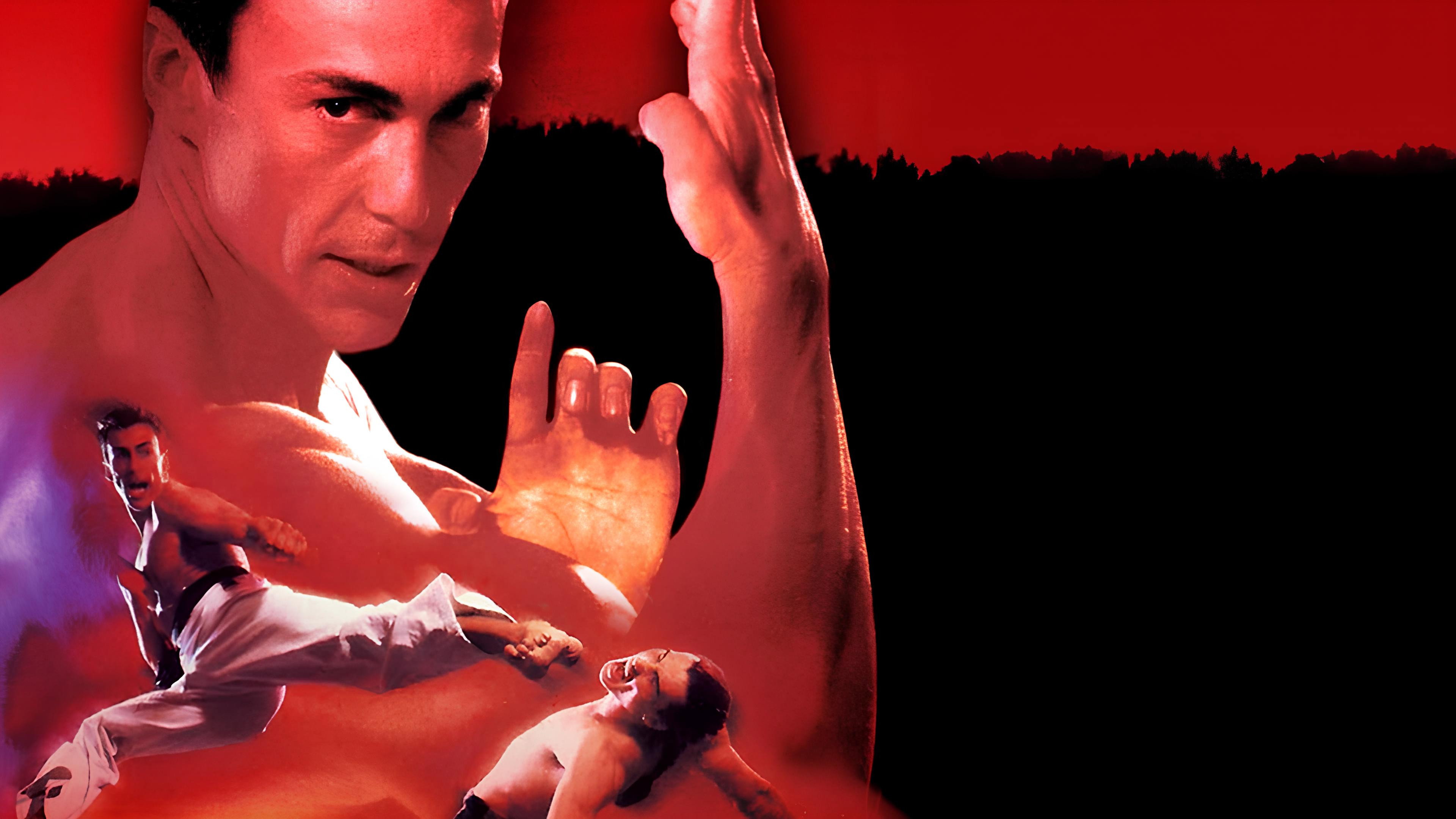 Bloodsport 2 scene photo