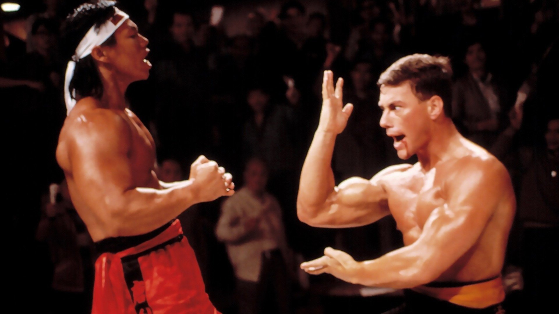 Bloodsport 2 scene photo