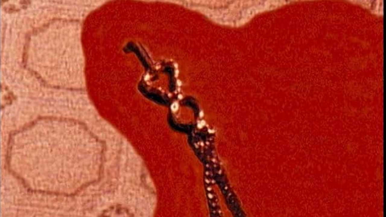 Bloody Muscle Body Builder in Hell scene photo