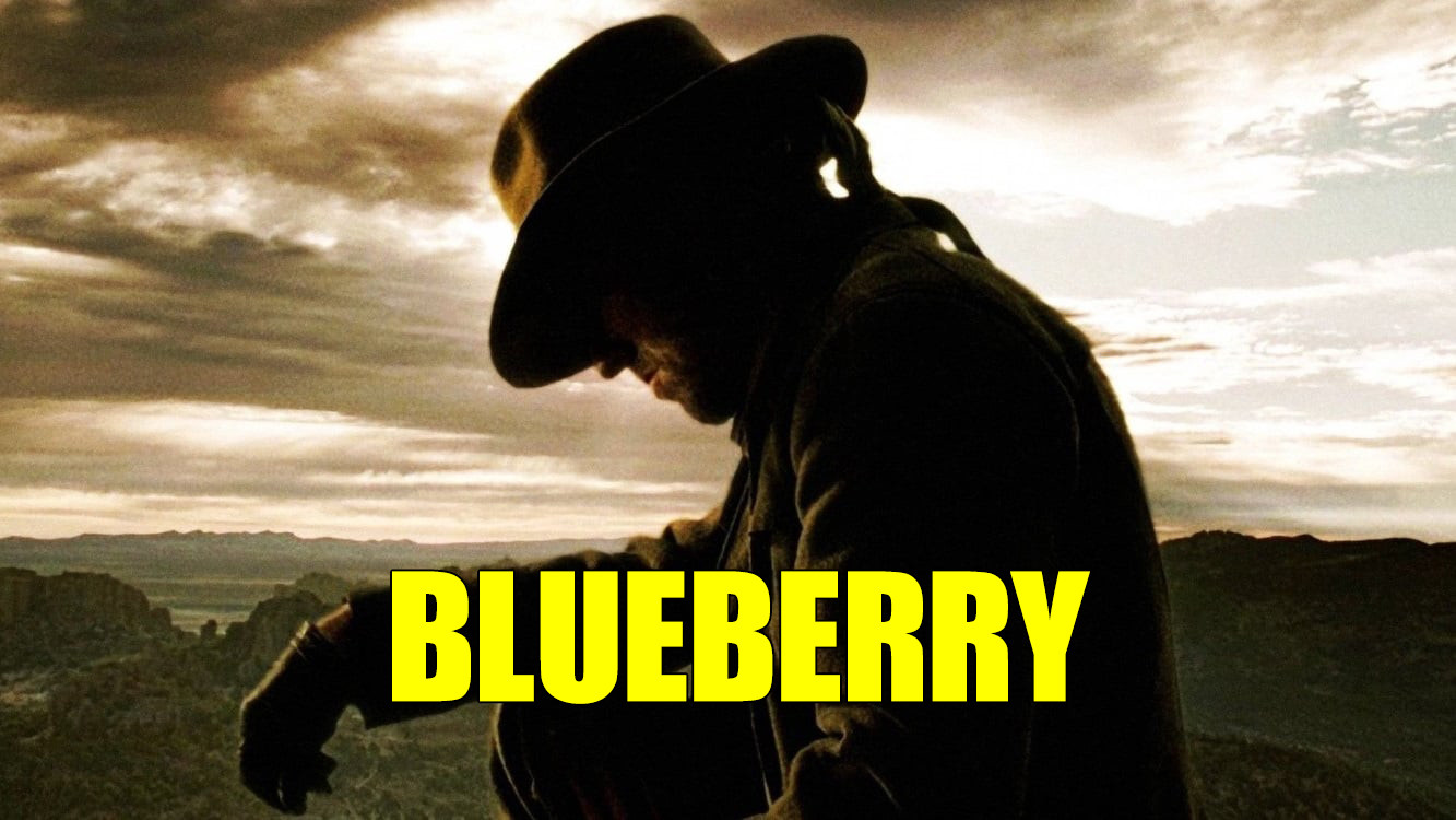 Blueberry scene photo