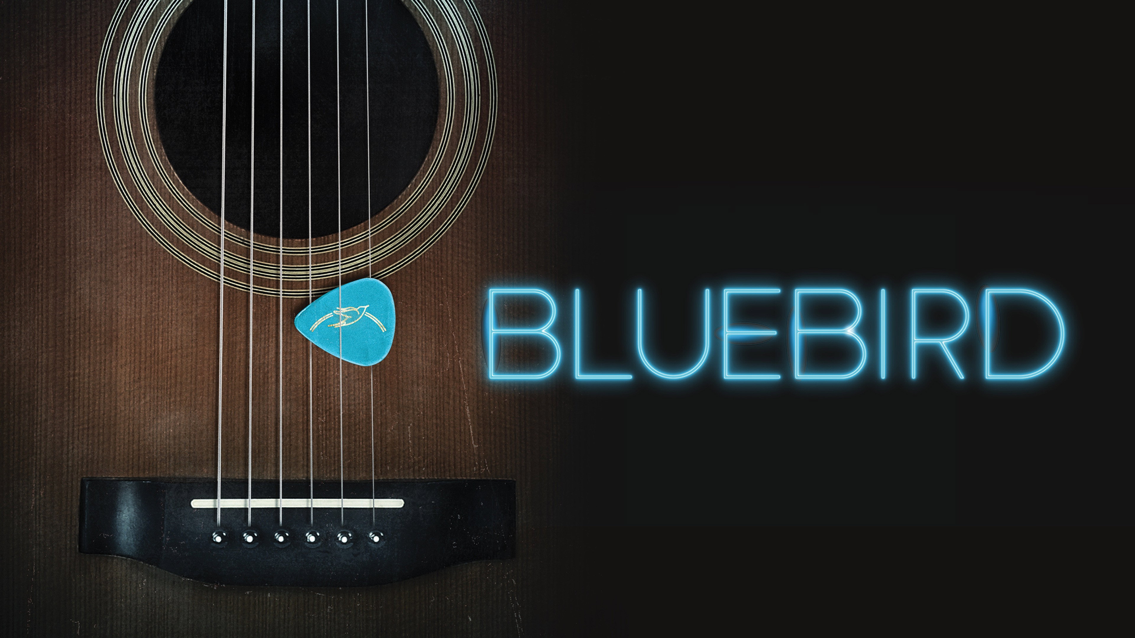 Bluebird scene photo
