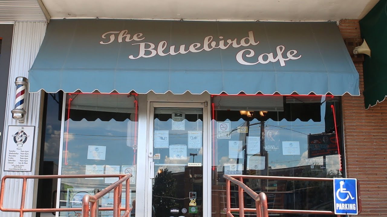 Bluebird scene photo