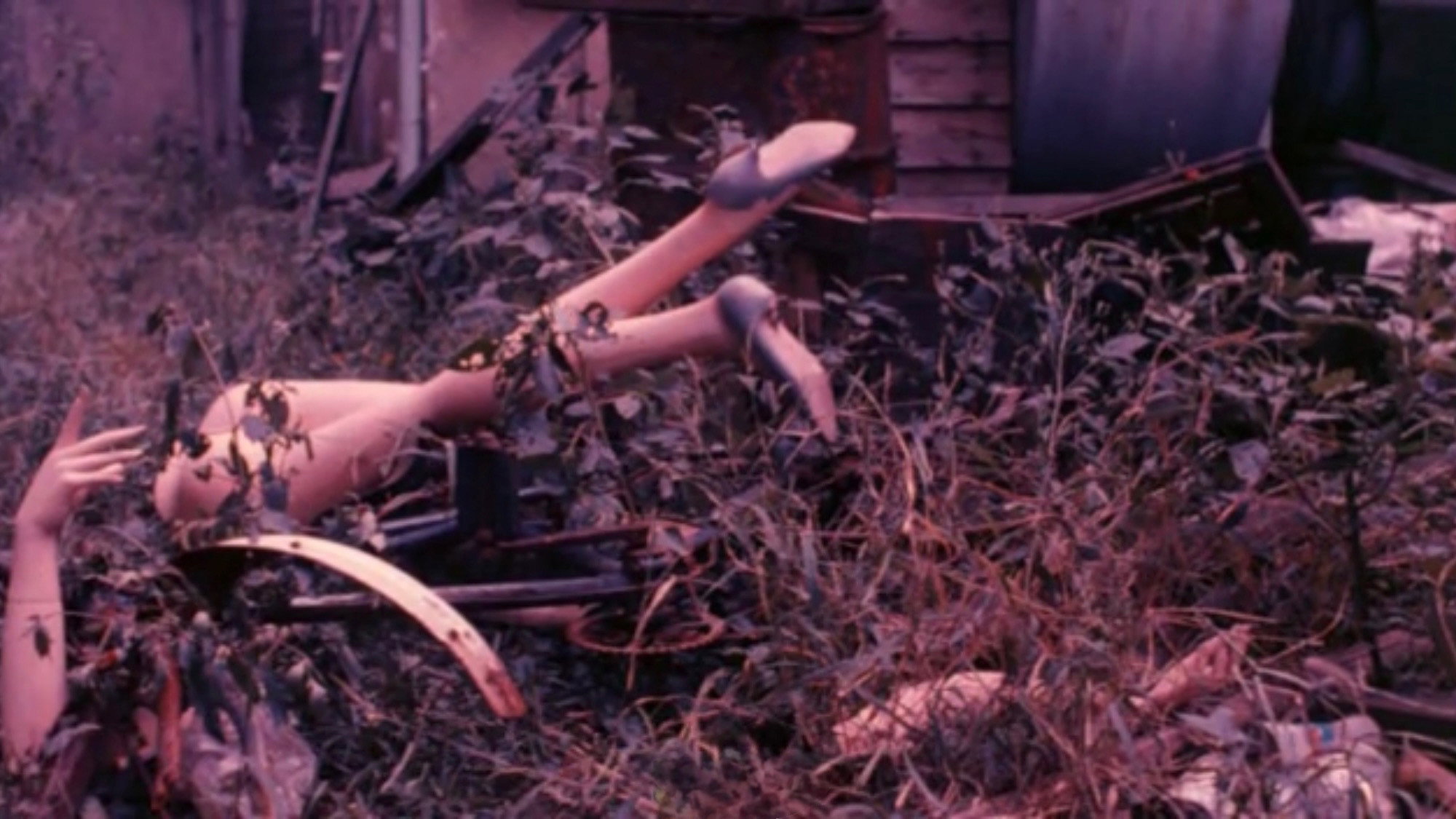 Bokusâ scene photo