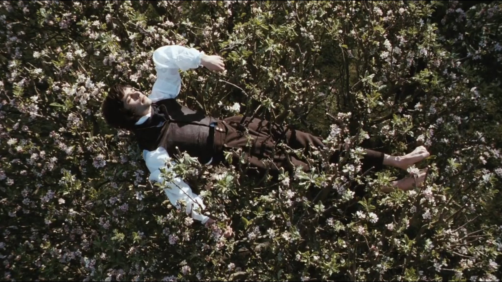 Bright Star scene photo