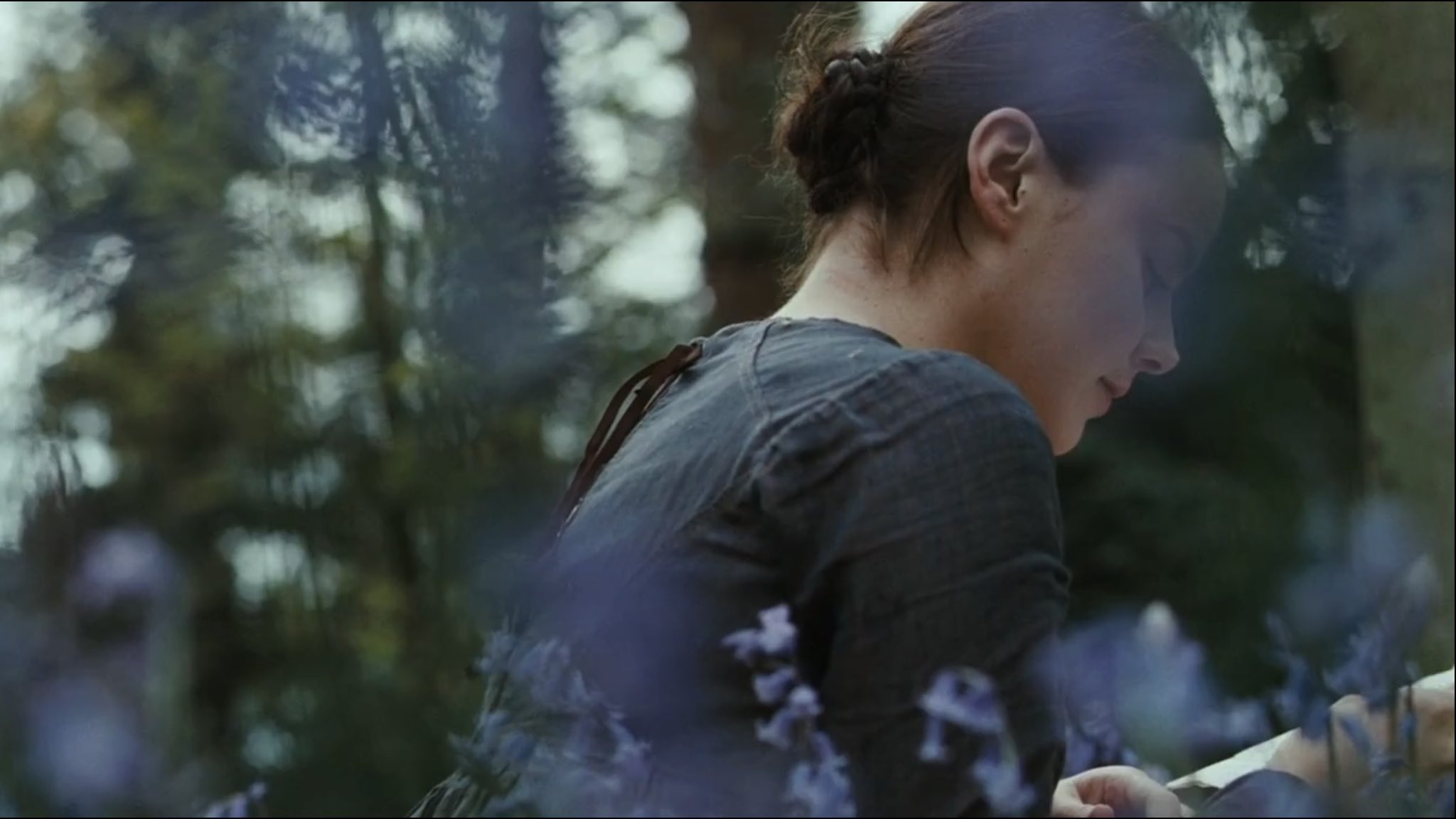 Bright Star scene photo