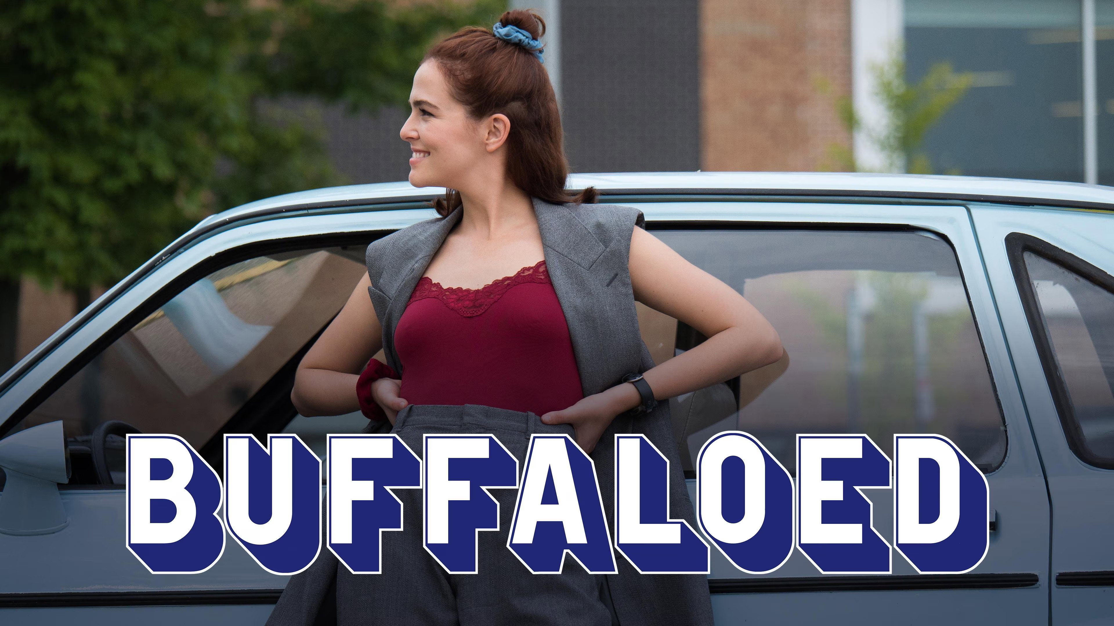 Buffaloed scene photo