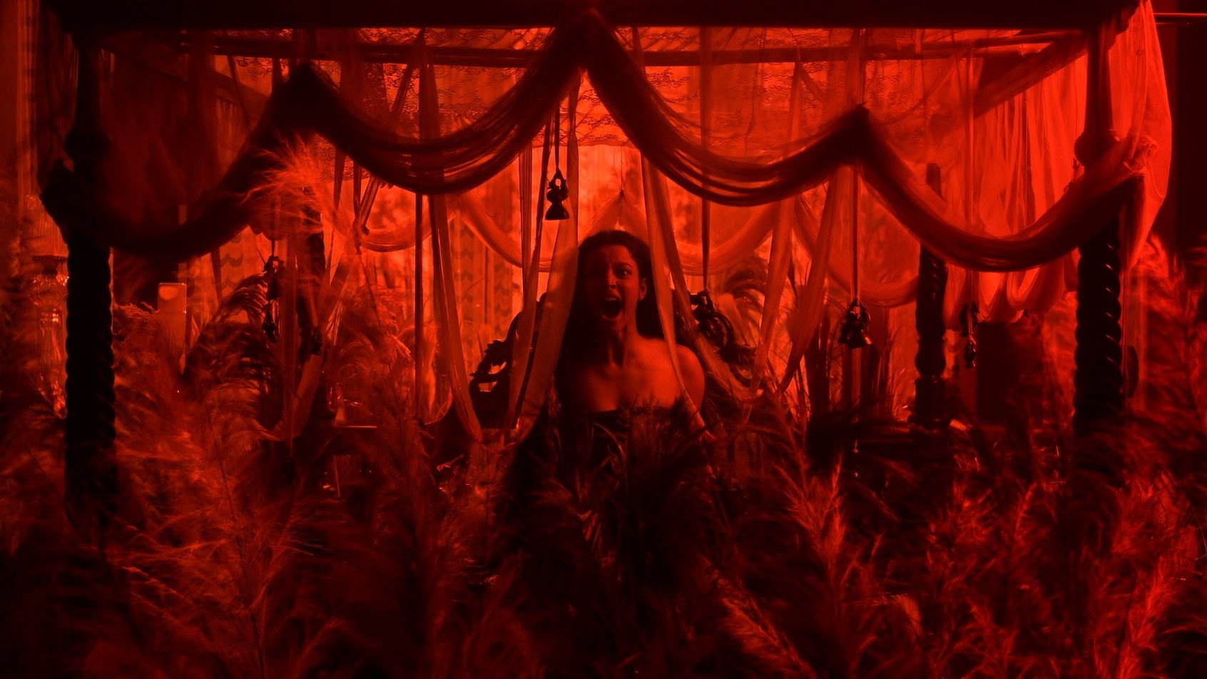 Bulbbul scene photo
