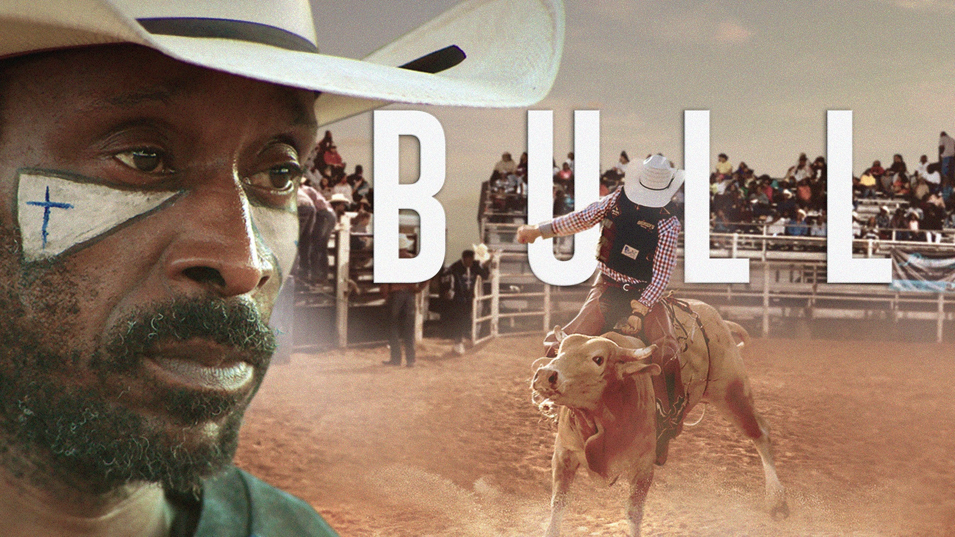 Bull scene photo