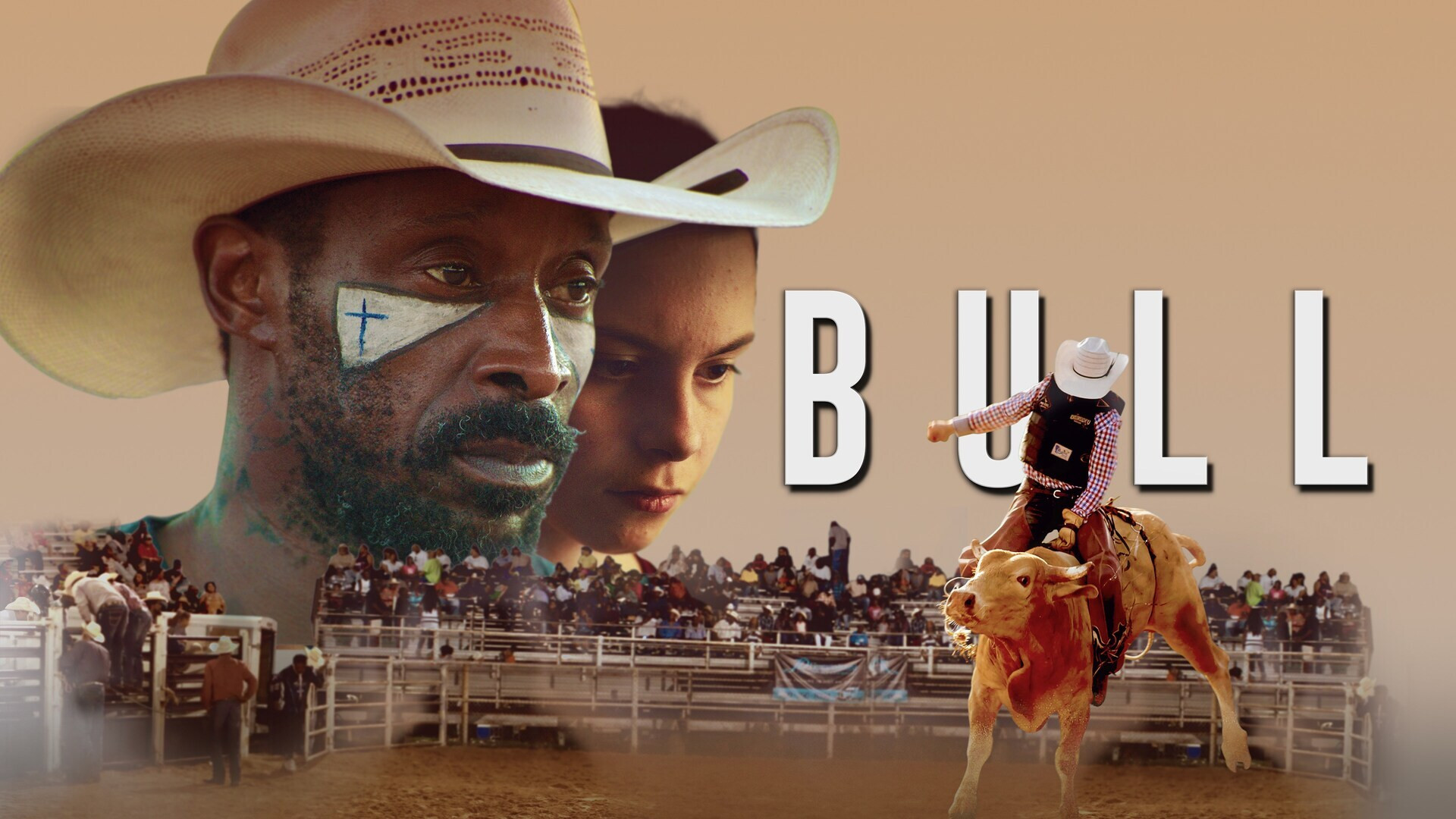 Bull scene photo