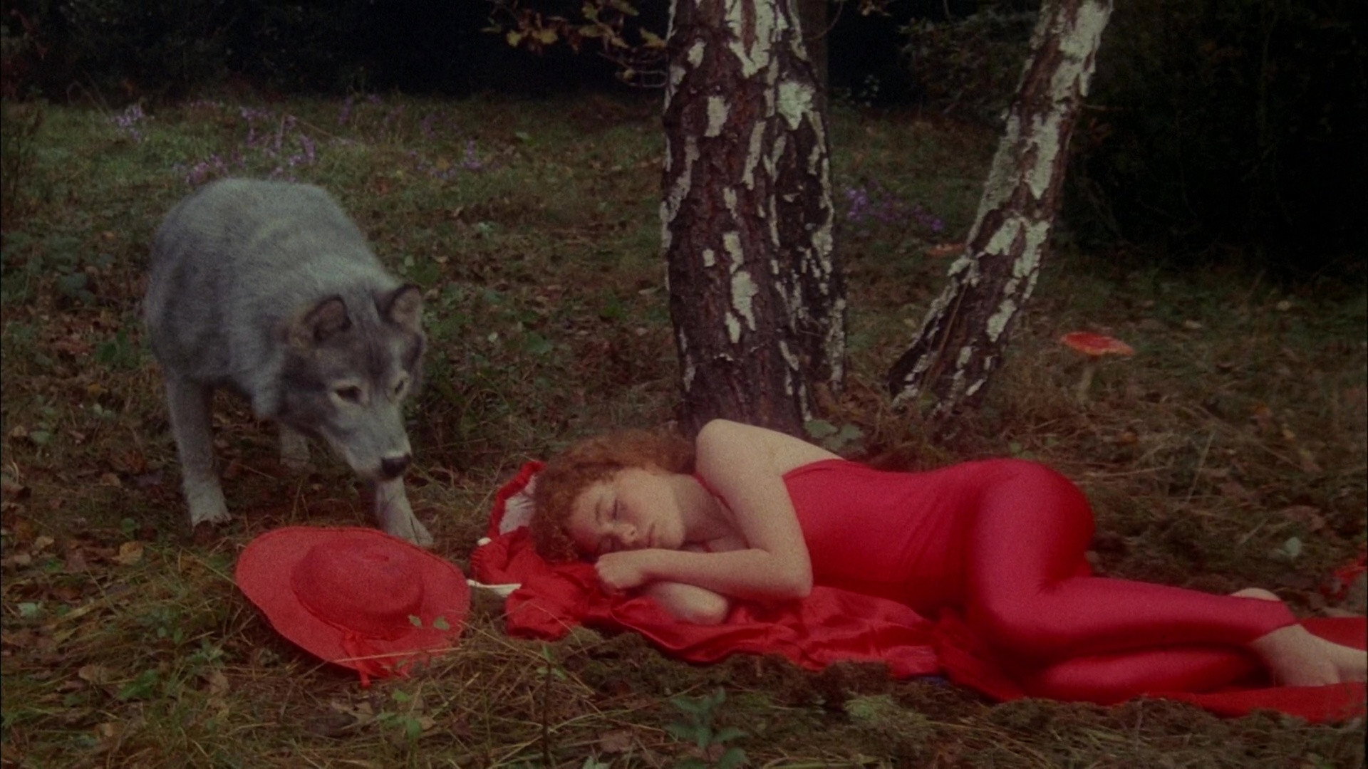 Bye bye chaperon rouge scene photo