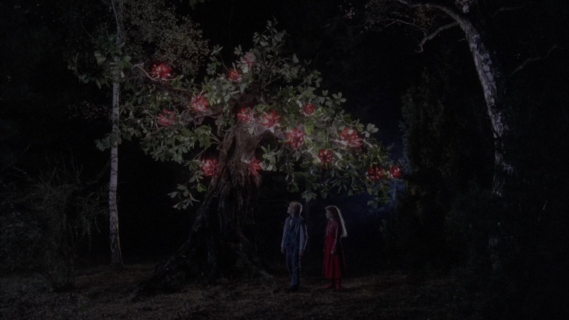 Bye bye chaperon rouge scene photo